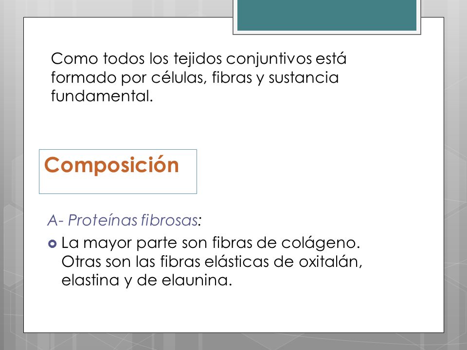 Como todos los tejidos conjuntivos está formado por células, fibras y sustancia fundamental.