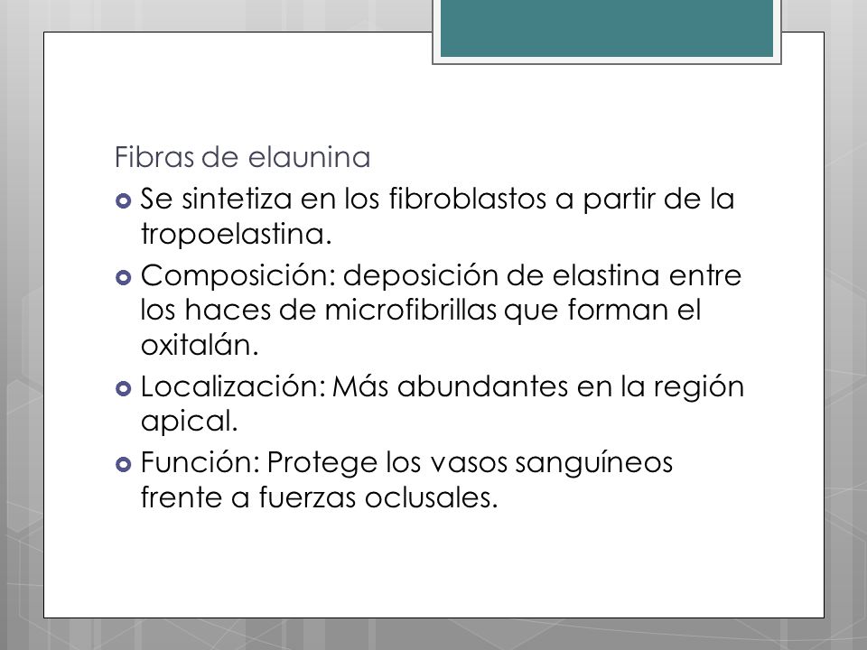 Fibras de elaunina Se sintetiza en los fibroblastos a partir de la tropoelastina.