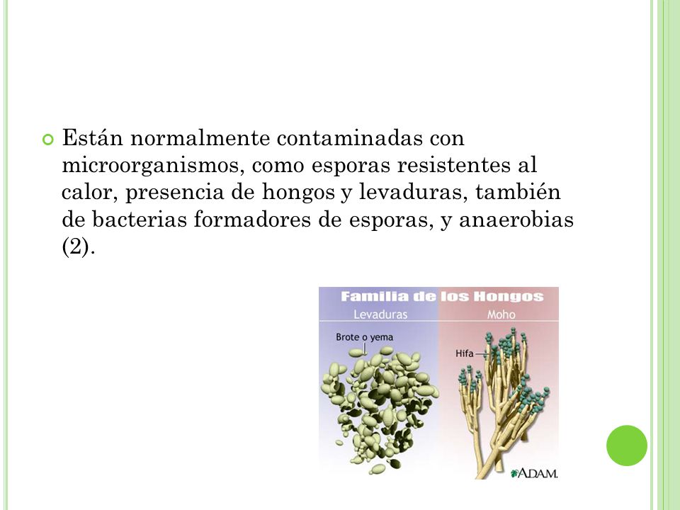 Están normalmente contaminadas con microorganismos, como esporas resistentes al calor, presencia de hongos y levaduras, también de bacterias formadores de esporas, y anaerobias (2).