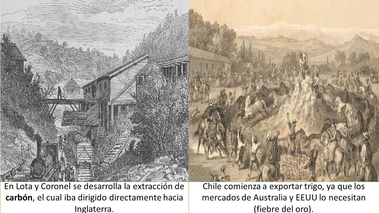 En Lota y Coronel se desarrolla la extracción de carbón, el cual iba dirigido directamente hacia Inglaterra.