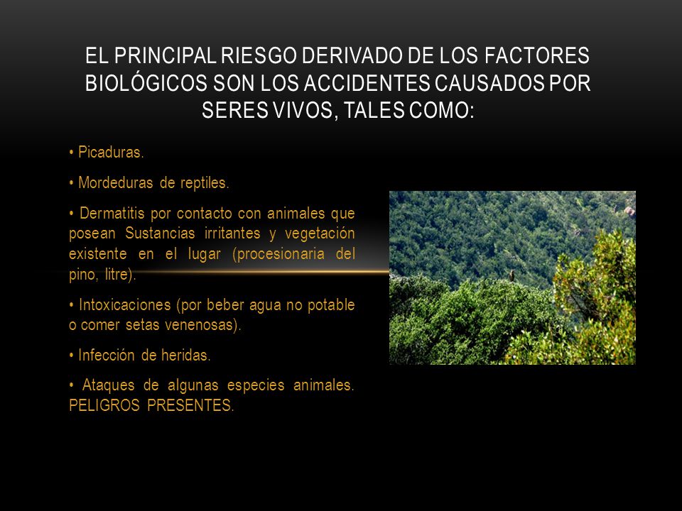 El principal riesgo derivado de los factores biológicos son los accidentes causados por seres vivos, tales como: