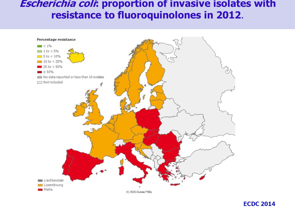 Escherichia coli: proportion of invasive isolates with resistance to fluoroquinolones in 2012.