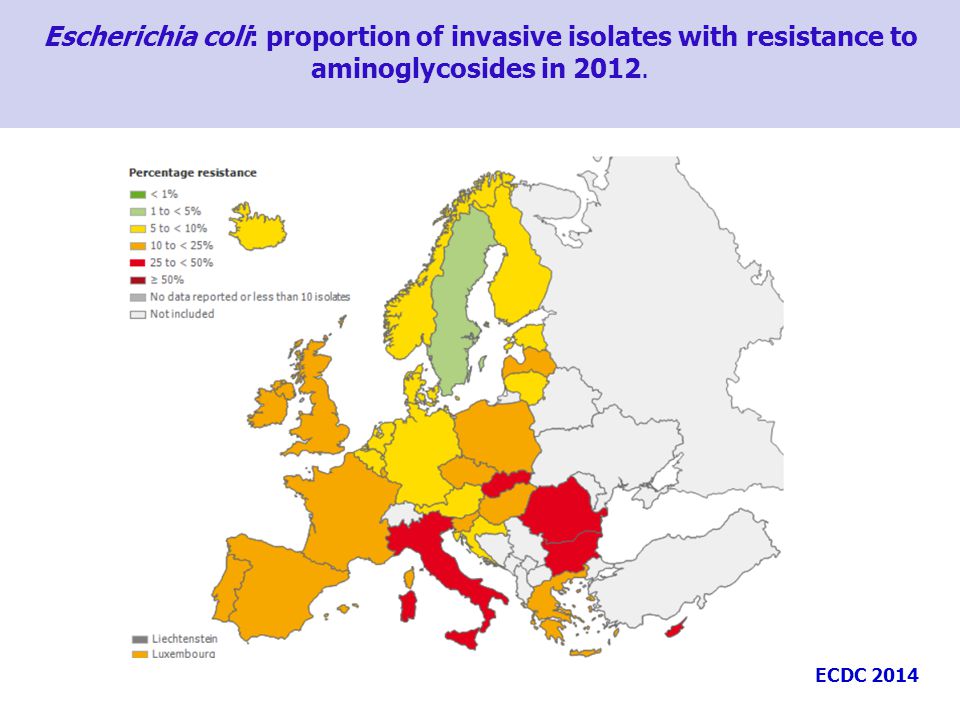 Escherichia coli: proportion of invasive isolates with resistance to aminoglycosides in 2012.
