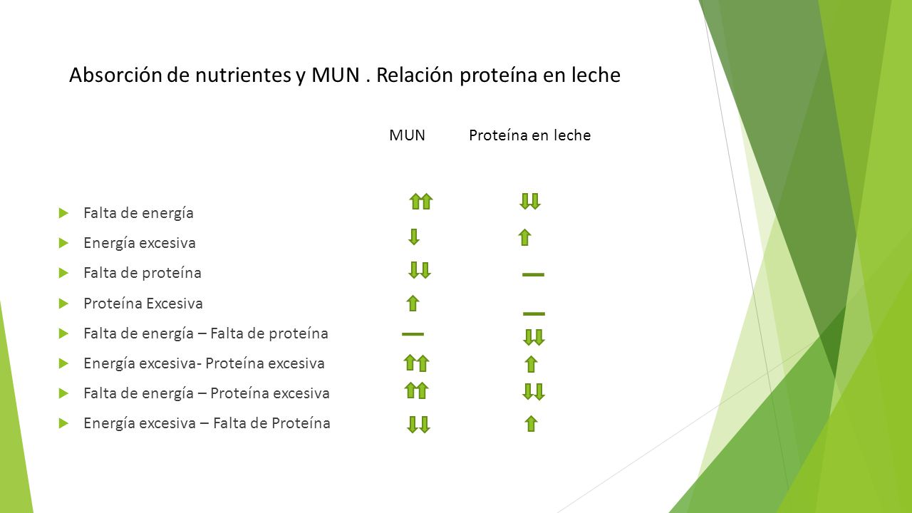 Absorción de nutrientes y MUN . Relación proteína en leche