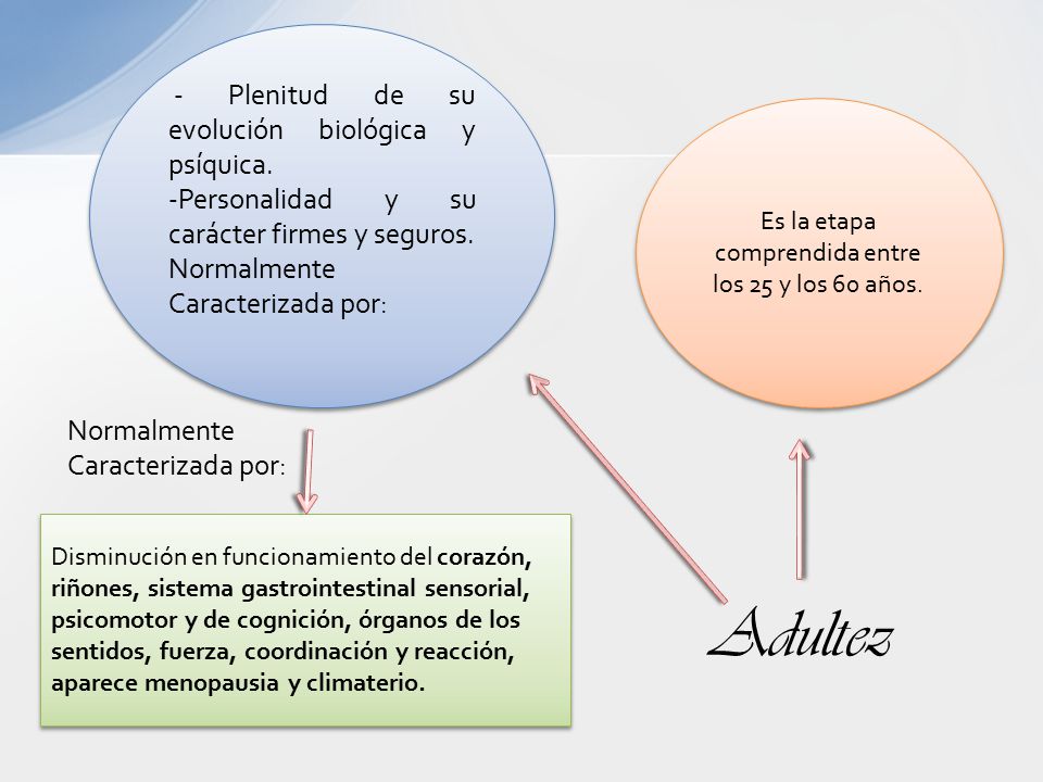 Es la etapa comprendida entre los 25 y los 60 años.