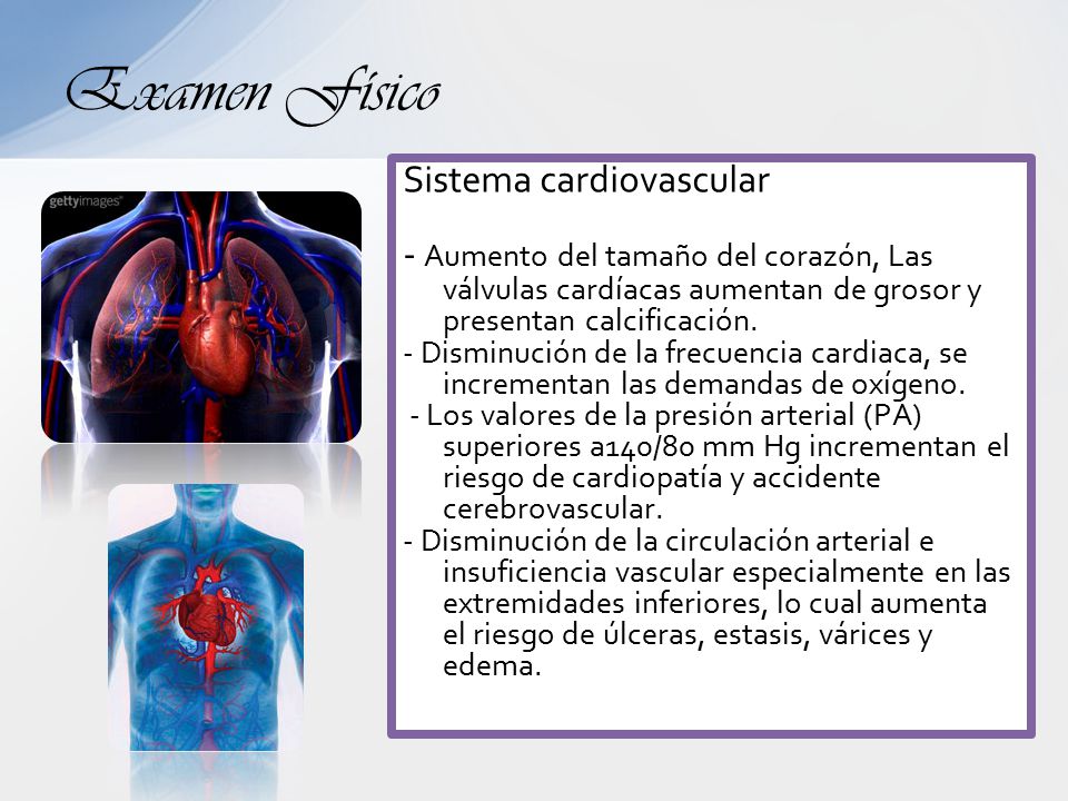 Examen Físico Sistema cardiovascular. - Aumento del tamaño del corazón, Las válvulas cardíacas aumentan de grosor y presentan calcificación.