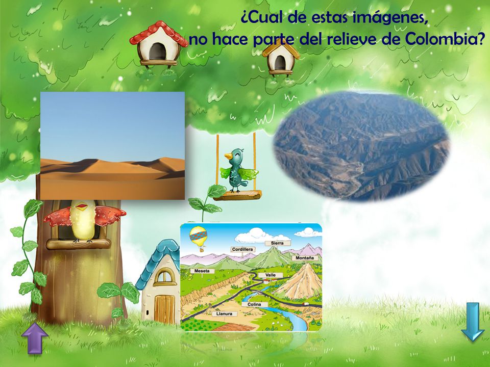 ¿Cual de estas imágenes, no hace parte del relieve de Colombia