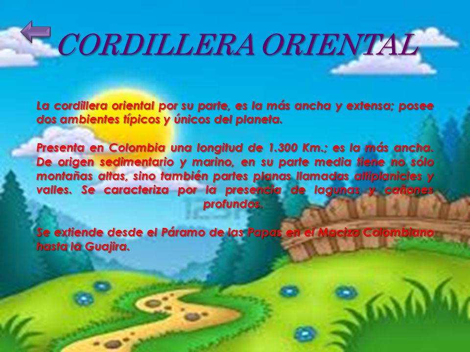 CORDILLERA ORIENTAL La cordillera oriental por su parte, es la más ancha y extensa; posee dos ambientes típicos y únicos del planeta.