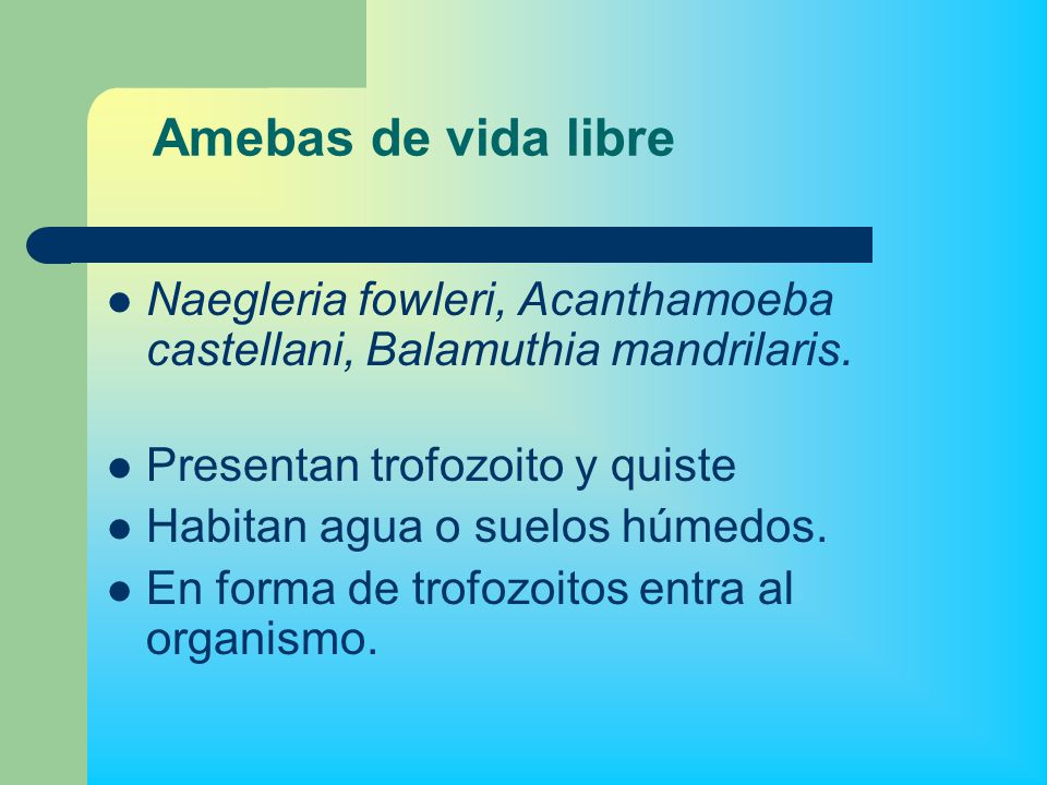 Amebas de vida libre Naegleria fowleri, Acanthamoeba castellani, Balamuthia mandrilaris. Presentan trofozoito y quiste.