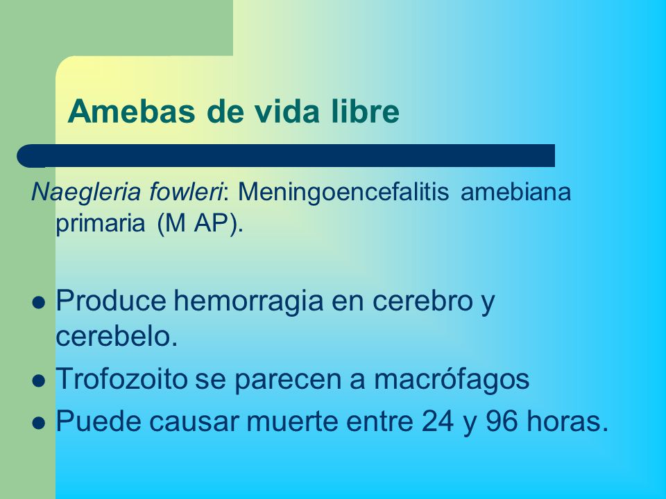 Amebas de vida libre Produce hemorragia en cerebro y cerebelo.