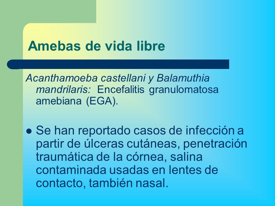 Amebas de vida libre Acanthamoeba castellani y Balamuthia mandrilaris: Encefalitis granulomatosa amebiana (EGA).