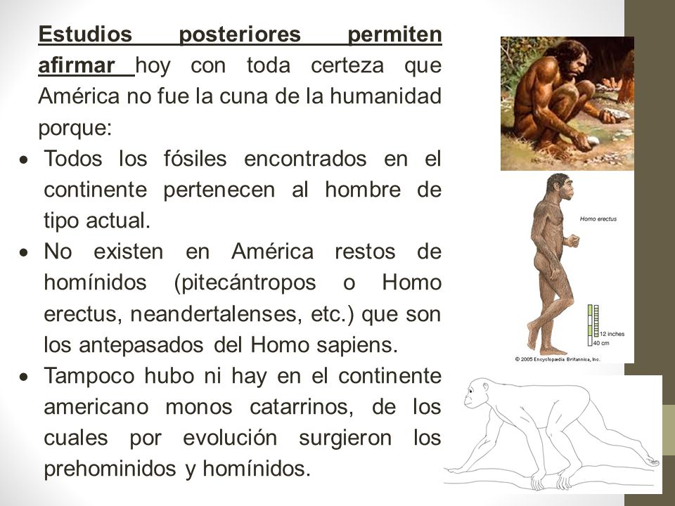 Didactica General I Estudios posteriores permiten afirmar hoy con toda certeza que América no fue la cuna de la humanidad porque: