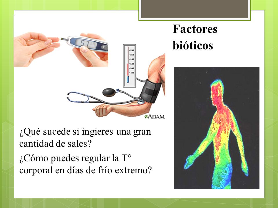 Factores bióticos ¿Qué sucede si ingieres una gran cantidad de sales.