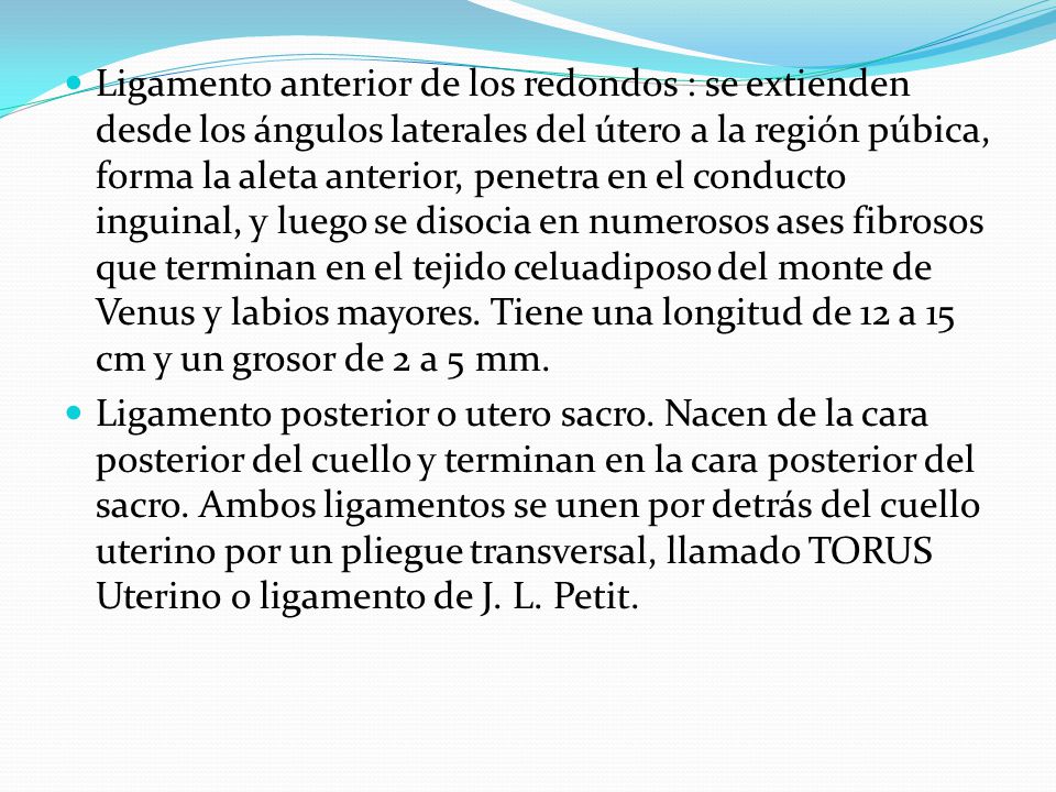 Ligamento anterior de los redondos : se extienden desde los ángulos laterales del útero a la región púbica, forma la aleta anterior, penetra en el conducto inguinal, y luego se disocia en numerosos ases fibrosos que terminan en el tejido celuadiposo del monte de Venus y labios mayores. Tiene una longitud de 12 a 15 cm y un grosor de 2 a 5 mm.