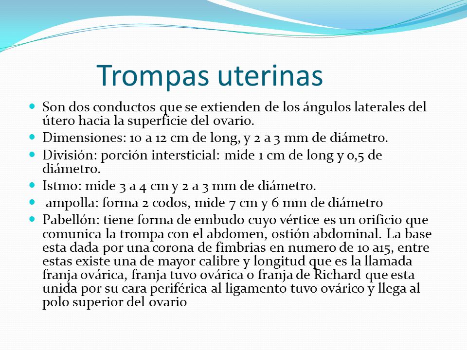 Trompas uterinas Son dos conductos que se extienden de los ángulos laterales del útero hacia la superficie del ovario.