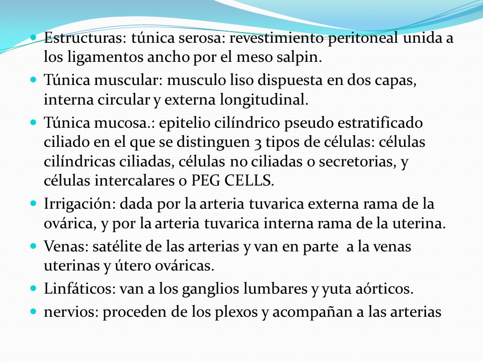 Estructuras: túnica serosa: revestimiento peritoneal unida a los ligamentos ancho por el meso salpin.