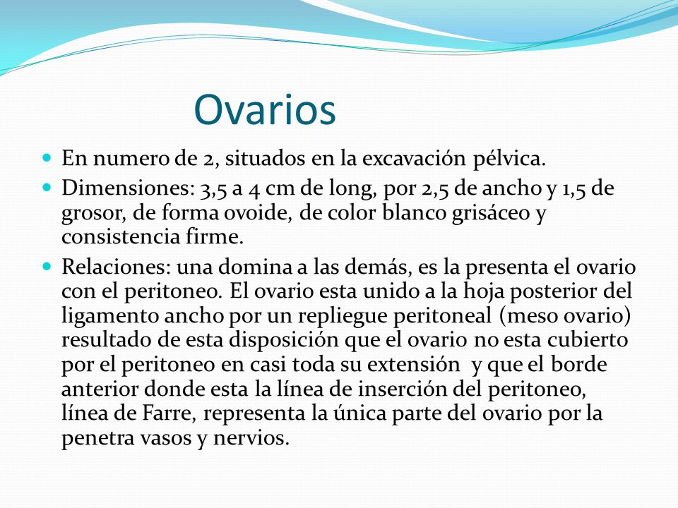 Ovarios En numero de 2, situados en la excavación pélvica.