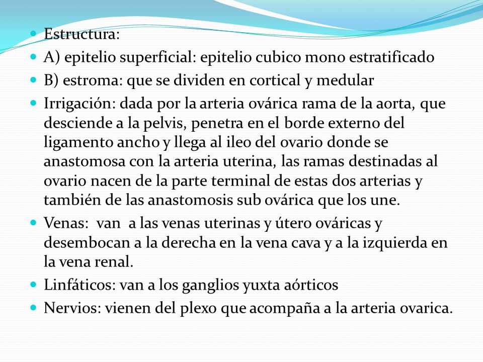 Estructura: A) epitelio superficial: epitelio cubico mono estratificado. B) estroma: que se dividen en cortical y medular.