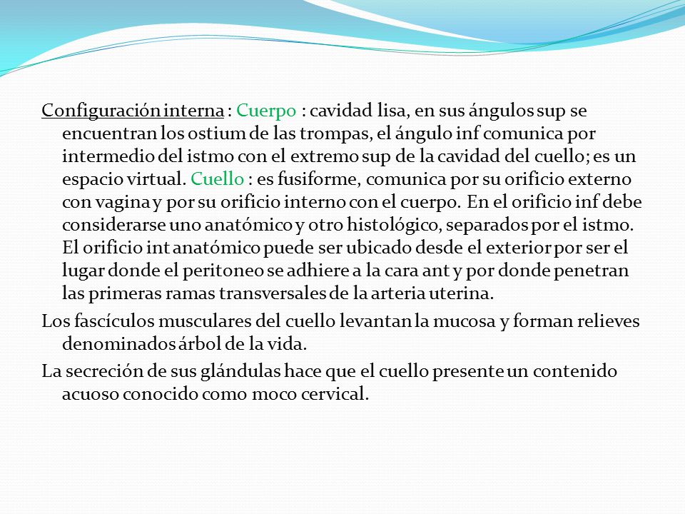 Configuración interna : Cuerpo : cavidad lisa, en sus ángulos sup se encuentran los ostium de las trompas, el ángulo inf comunica por intermedio del istmo con el extremo sup de la cavidad del cuello; es un espacio virtual.
