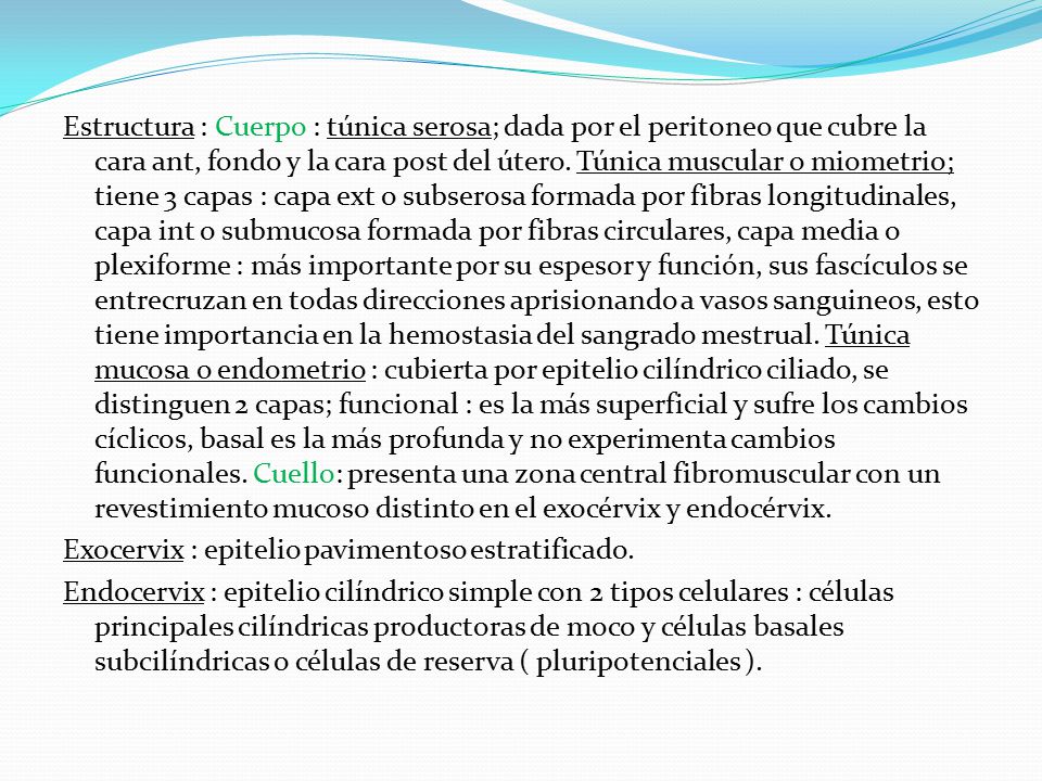 Estructura : Cuerpo : túnica serosa; dada por el peritoneo que cubre la cara ant, fondo y la cara post del útero.