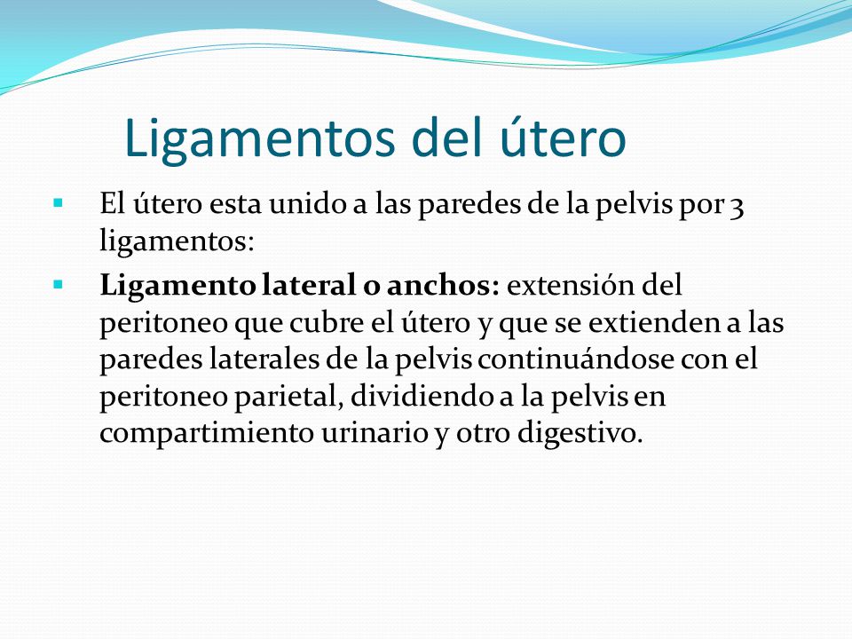 Ligamentos del útero El útero esta unido a las paredes de la pelvis por 3 ligamentos: