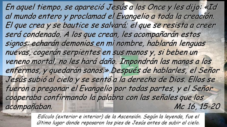 En aquel tiempo, se apareció Jesús a los Once y les dijo: «Id al mundo entero y proclamad el Evangelio a toda la creación.