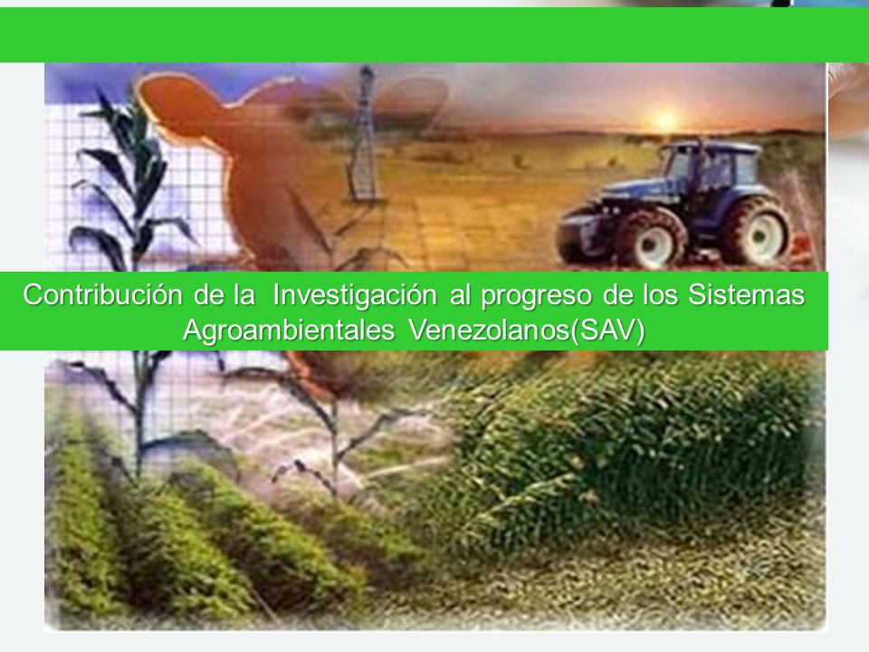 Contribución de la Investigación al progreso de los Sistemas Agroambientales Venezolanos(SAV)