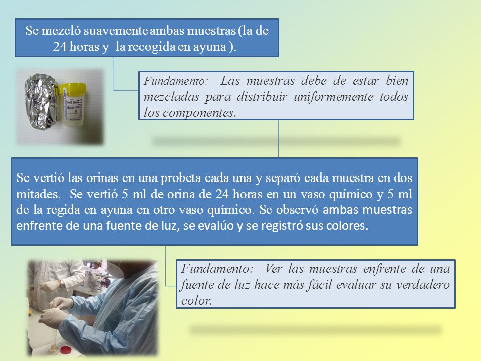 Se mezcló suavemente ambas muestras (la de 24 horas y la recogida en ayuna ).