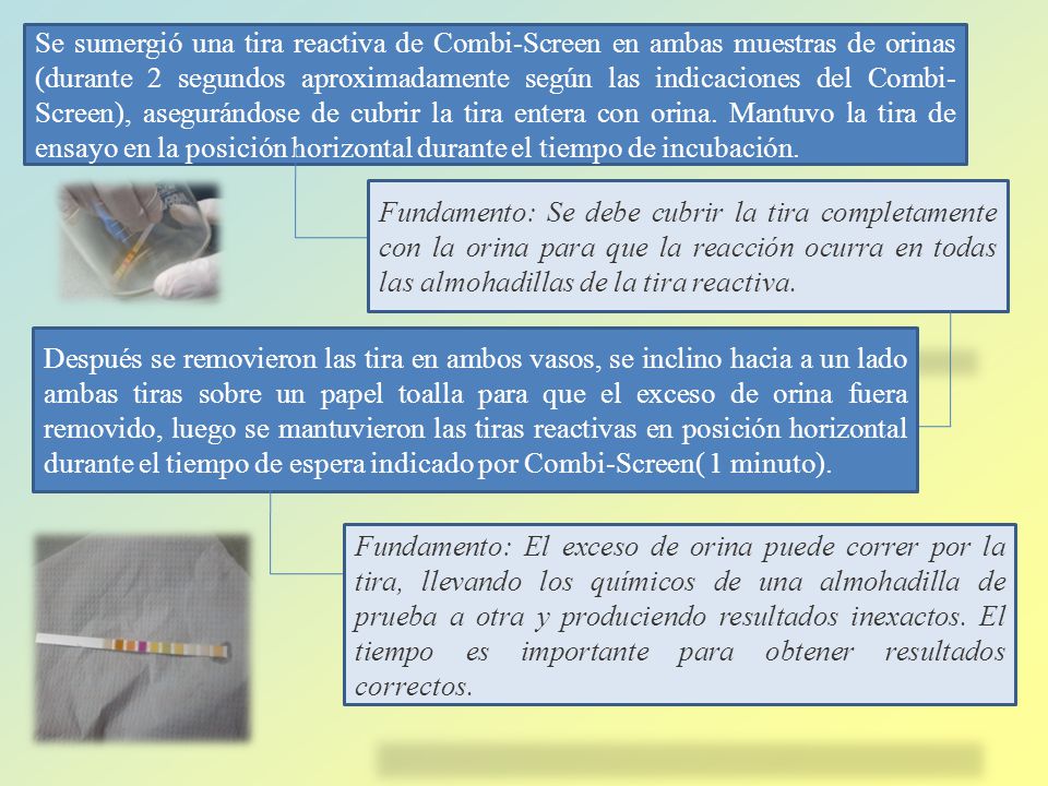 Se sumergió una tira reactiva de Combi-Screen en ambas muestras de orinas (durante 2 segundos aproximadamente según las indicaciones del Combi-Screen), asegurándose de cubrir la tira entera con orina. Mantuvo la tira de ensayo en la posición horizontal durante el tiempo de incubación.