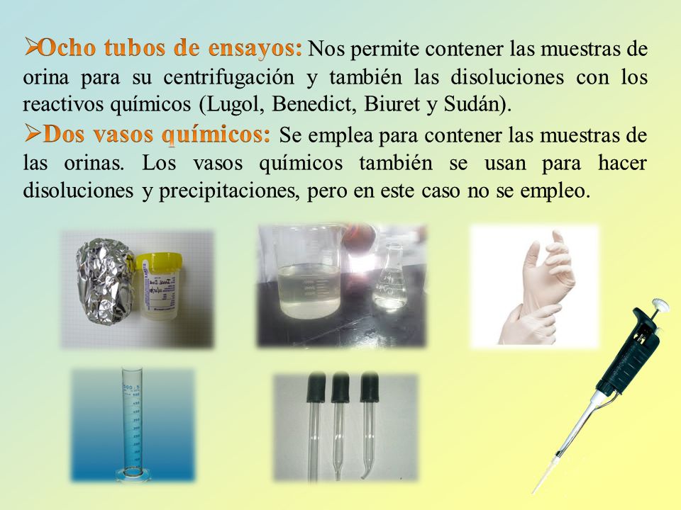 Ocho tubos de ensayos: Nos permite contener las muestras de orina para su centrifugación y también las disoluciones con los reactivos químicos (Lugol, Benedict, Biuret y Sudán).