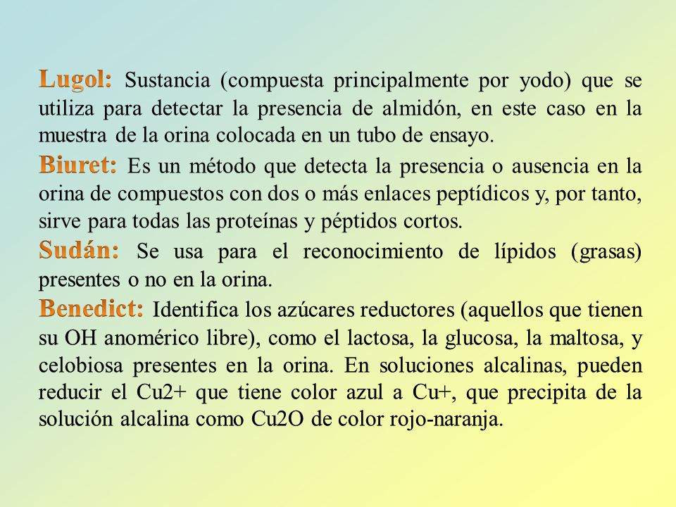 Lugol: Sustancia (compuesta principalmente por yodo) que se utiliza para detectar la presencia de almidón, en este caso en la muestra de la orina colocada en un tubo de ensayo.