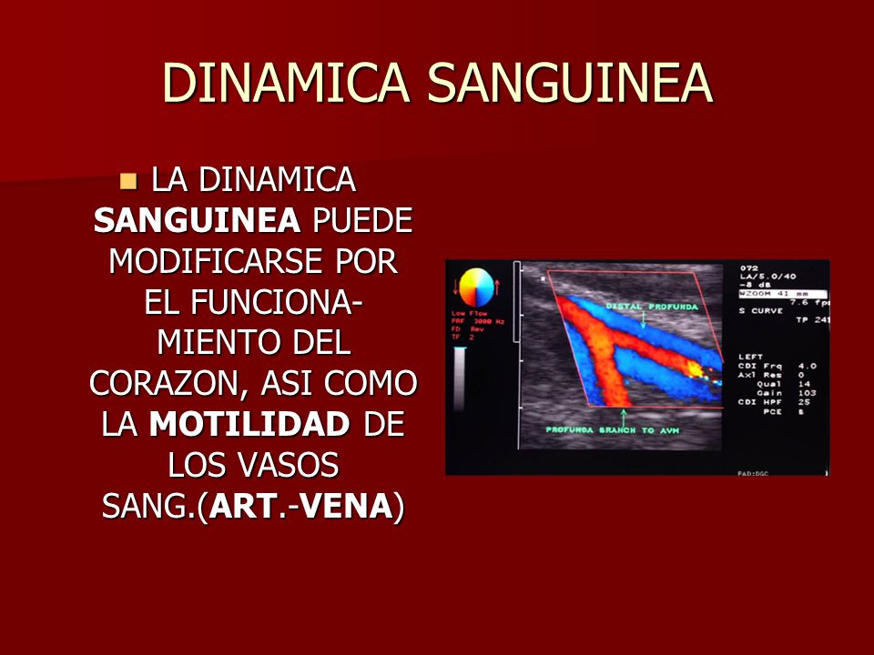 DINAMICA SANGUINEA LA DINAMICA SANGUINEA PUEDE MODIFICARSE POR EL FUNCIONA-MIENTO DEL CORAZON, ASI COMO LA MOTILIDAD DE LOS VASOS SANG.(ART.-VENA)
