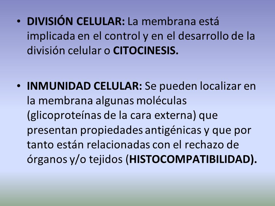 DIVISIÓN CELULAR: La membrana está implicada en el control y en el desarrollo de la división celular o CITOCINESIS.