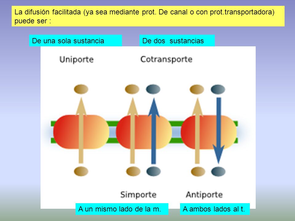 La difusión facilitada (ya sea mediante prot. De canal o con prot