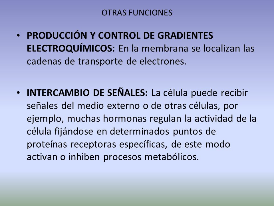 OTRAS FUNCIONES PRODUCCIÓN Y CONTROL DE GRADIENTES ELECTROQUÍMICOS: En la membrana se localizan las cadenas de transporte de electrones.