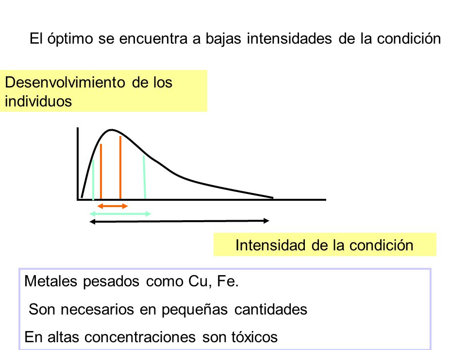 El óptimo se encuentra a bajas intensidades de la condición