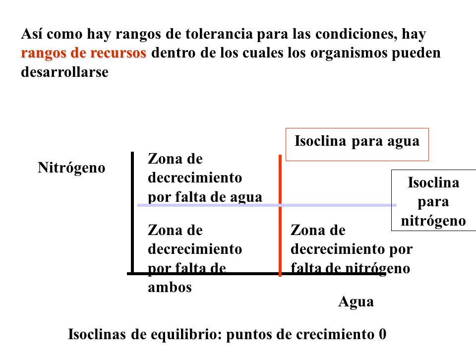 Isoclina para nitrógeno