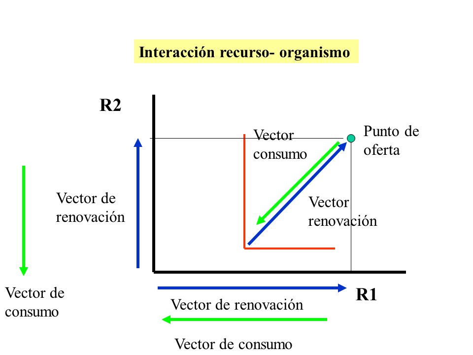 R2 R1 Interacción recurso- organismo Punto de oferta Vector consumo