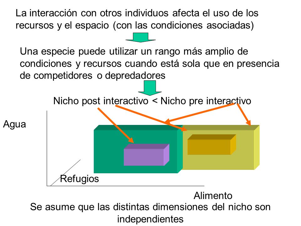 Se asume que las distintas dimensiones del nicho son independientes