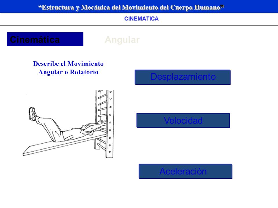 Describe el Movimiento Angular o Rotatorio