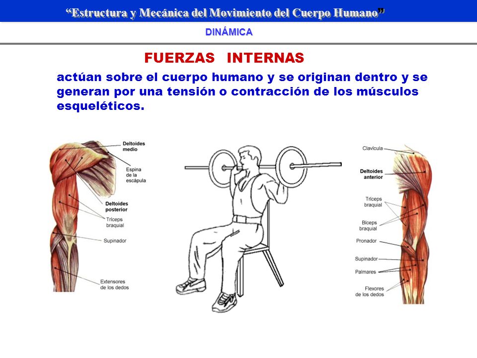 Video de la mecánica del cuerpo humano. 