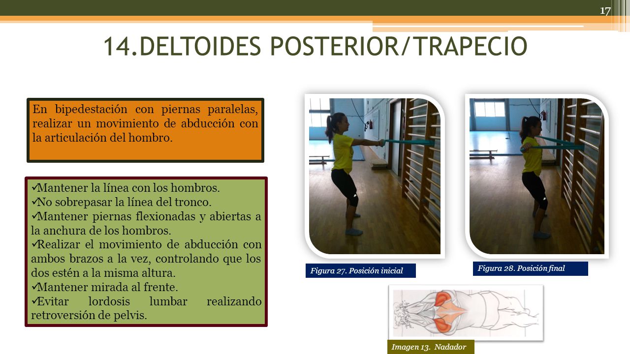 14.DELTOIDES POSTERIOR/TRAPECIO