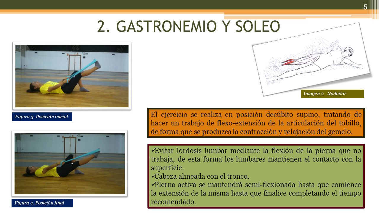 2. GASTRONEMIO Y SOLEO Imagen 2. Nadador.