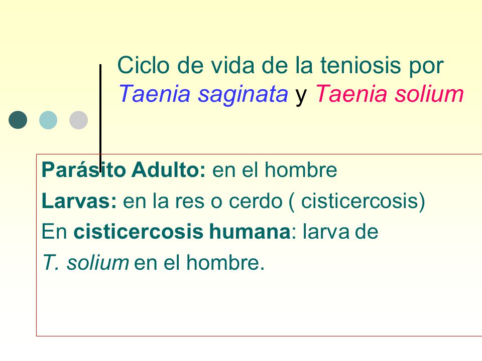 Ciclo de vida de la teniosis por Taenia saginata y Taenia solium