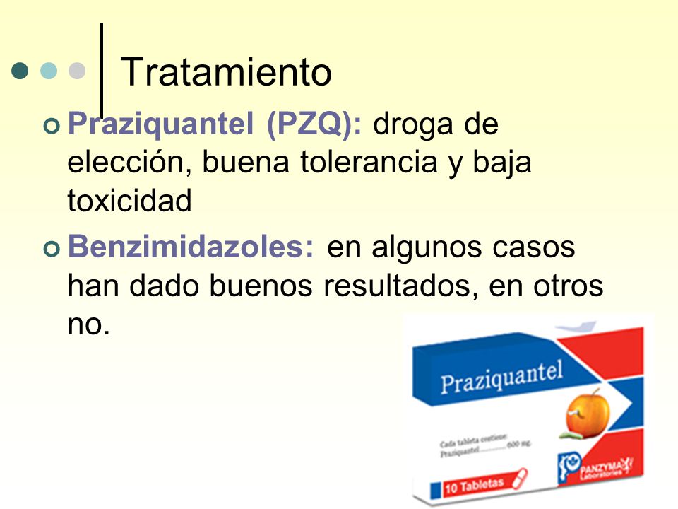 Tratamiento Praziquantel (PZQ): droga de elección, buena tolerancia y baja toxicidad.