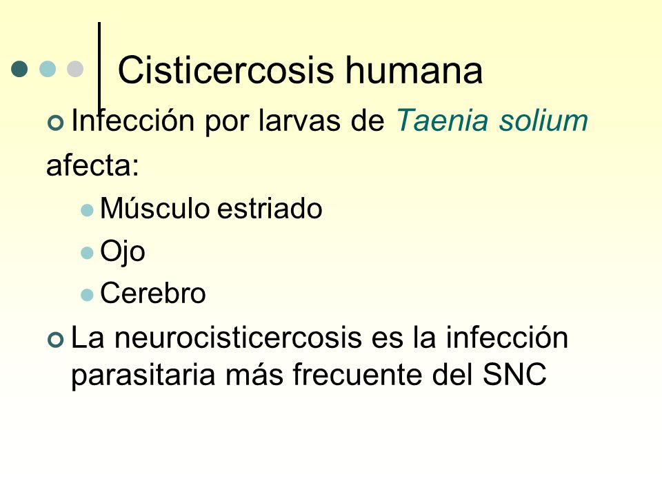 Cisticercosis humana Infección por larvas de Taenia solium afecta: