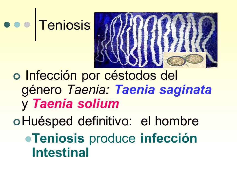 Teniosis Infección por céstodos del género Taenia: Taenia saginata y Taenia solium. Huésped definitivo: el hombre.
