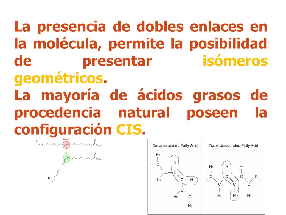 La presencia de dobles enlaces en la molécula, permite la posibilidad de presentar isómeros geométricos.