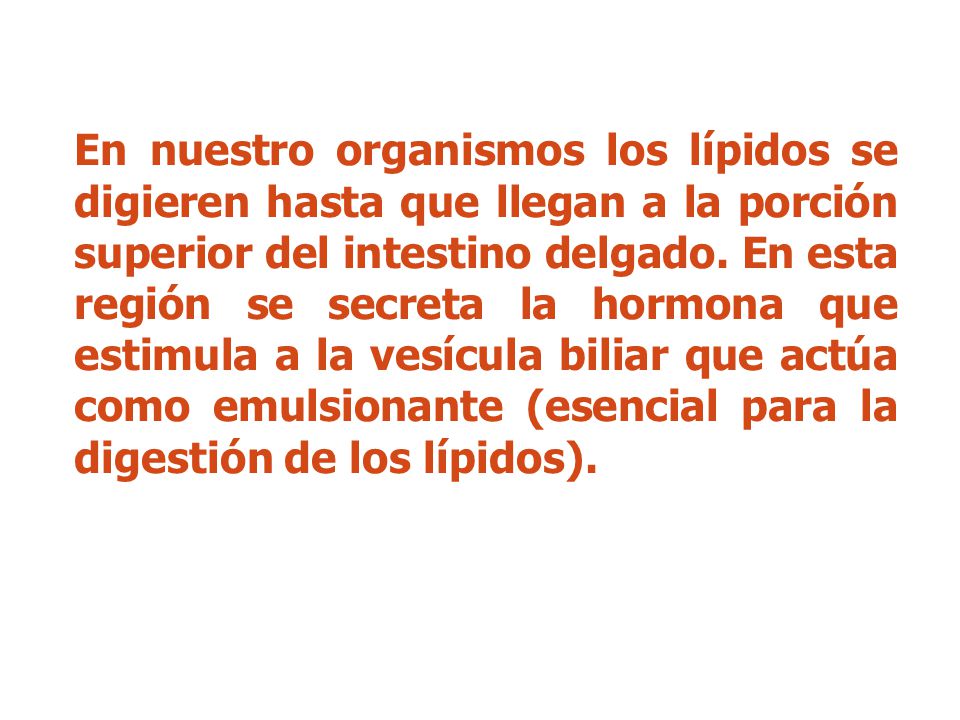 En nuestro organismos los lípidos se digieren hasta que llegan a la porción superior del intestino delgado.