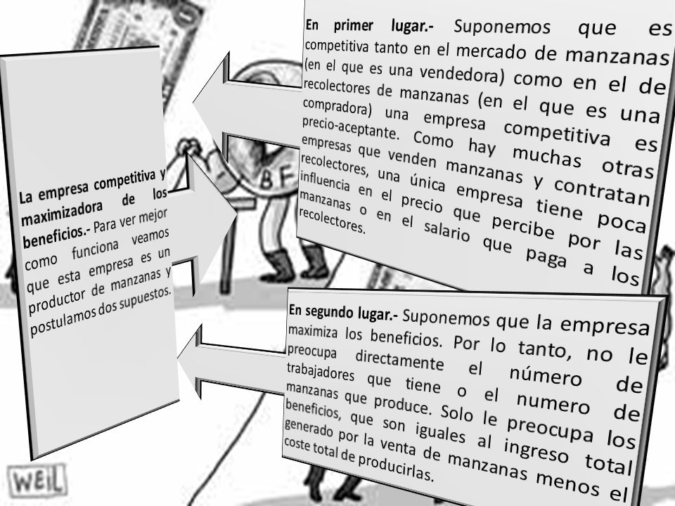 En primer lugar.- Suponemos que es competitiva tanto en el mercado de manzanas (en el que es una vendedora) como en el de recolectores de manzanas (en el que es una compradora) una empresa competitiva es precio-aceptante. Como hay muchas otras empresas que venden manzanas y contratan recolectores, una única empresa tiene poca influencia en el precio que percibe por las manzanas o en el salario que paga a los recolectores.